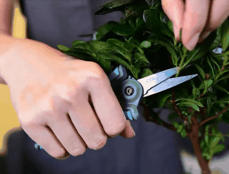 Mini potting scissors Mini potting scissors