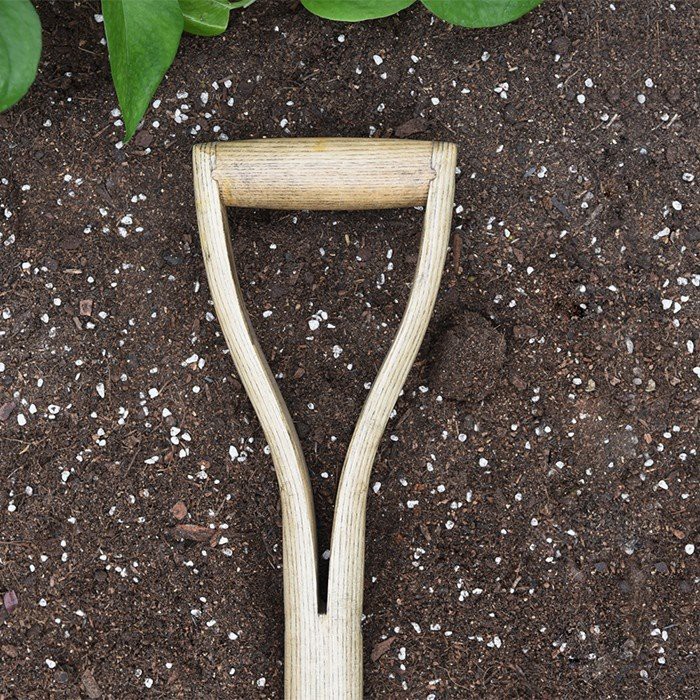 gardening forks and shovel