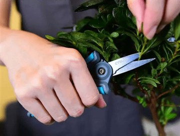 Защо пуснахме новите и по-големи ножици