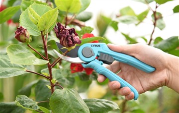 Предимствата на мощния и ръчен режещ инструмент