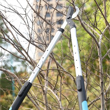 Подрязване и подрязване: грижа за моята семейна градина