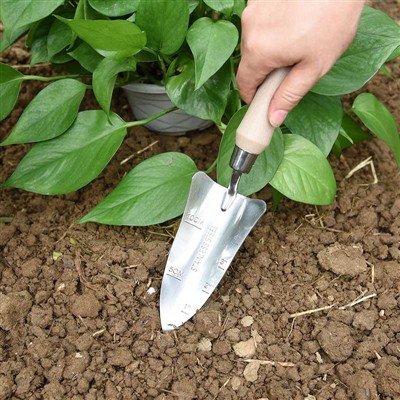 Дневник за засаждане на градина -1