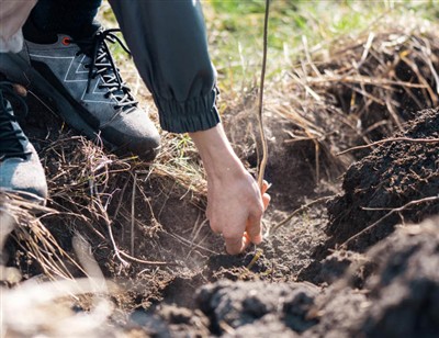 Игриви стъпки за копаене през корените