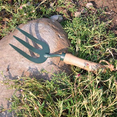 Ежедневните приключения на The Garden Tools