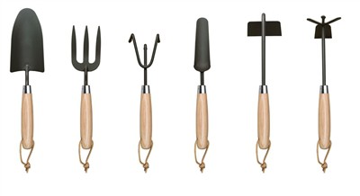 Засаждане на домати у дома