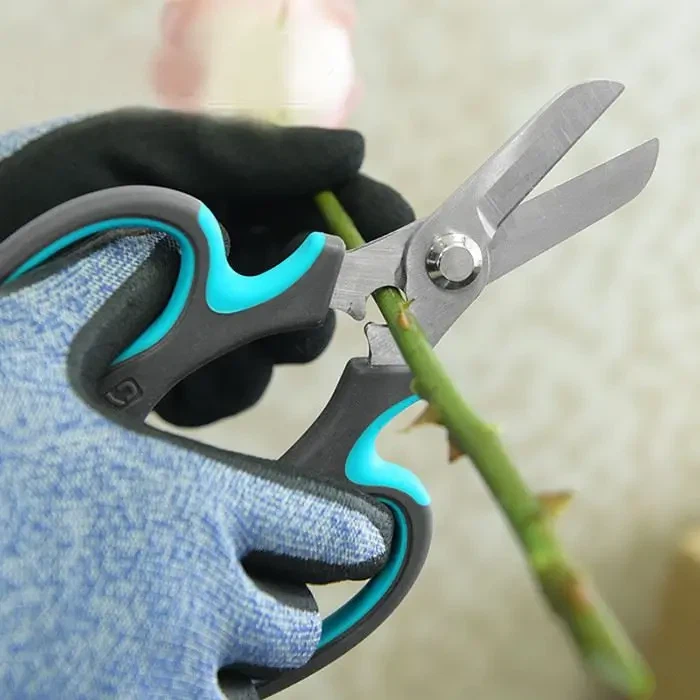 Ножици за подрязване и рози ще бъдат идеалното съвпадение