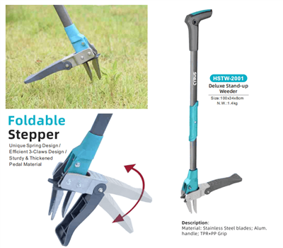 Честване на фестивала в средата на есента по света: хармония от традиция и гр...