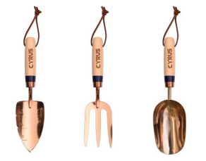 news-292-229 news-292-229